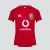 Junior Unisex British & Irish Lions Professional Jersey Crimson