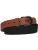 Accessories | Mens Canvas Elasticated Belt Stretch Womens Unisex Adjustable Buckle | Enzo Designer Menswear