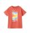 Identify It Coral Long term Inventor Field Print Brand T-Blouse New Glance