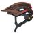 ABUS – Cliffhanger MIPS – Bike helmet size 51-55 cm – S, brown