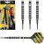 Dimitri Van Den Bergh 80% Tungsten Soft Tip Darts By Target