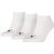 Unisex Adult Invisible Socks (pack Of 3) (white)