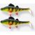 Comfortable Shad Trap Perch 170 Perch