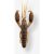 Crayfish Comfortable Trap With Attractant Wxm Yubari Crw 2.5″ 6.5 cm Pumpkin Blue