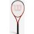 Grownup Tennis Racket Burn 100ls V5.0 280 G – Orange