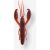 Crayfish Relaxed Entice With Attractant Wxm Yubari Crw 3″ 7.5 cm Black Purple Craw