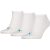 Pack of 3 Pairs of Trainer Socks – SIZE 39/42 (5.5 to 8)