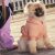 PUPPY Zip-up Hoodie – Peach Amber L : UK 10-12